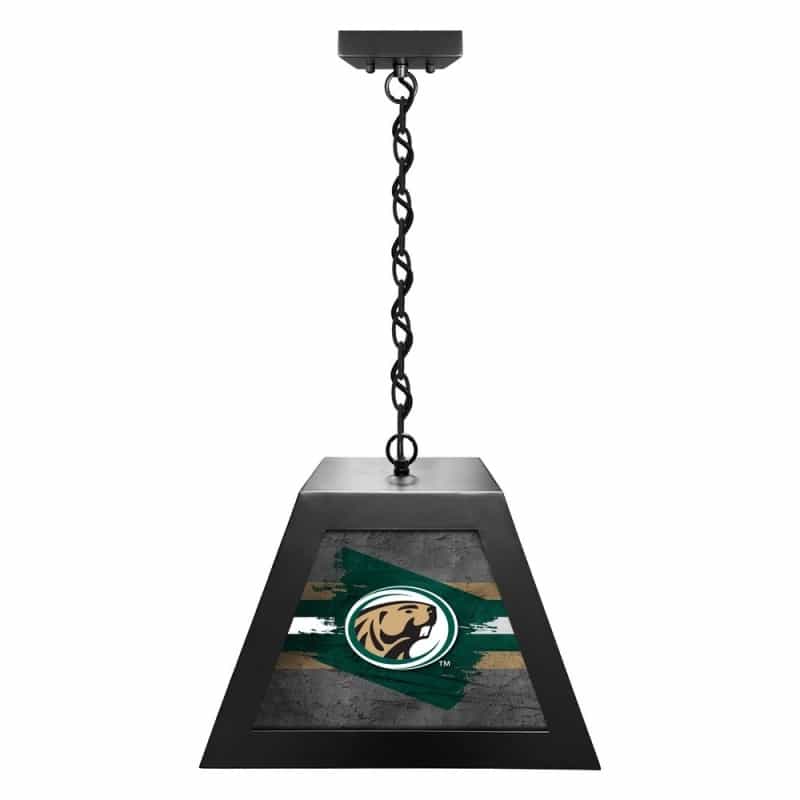 Bemidji State University Pendant Box Light By Holland Bar Stool Company